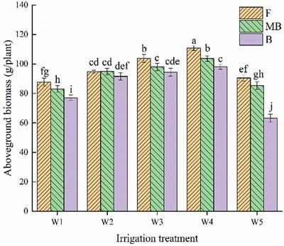 Field irrigation using magnetized brackish water affects the growth and water consumption of Haloxylon ammodendron seedlings in an arid area